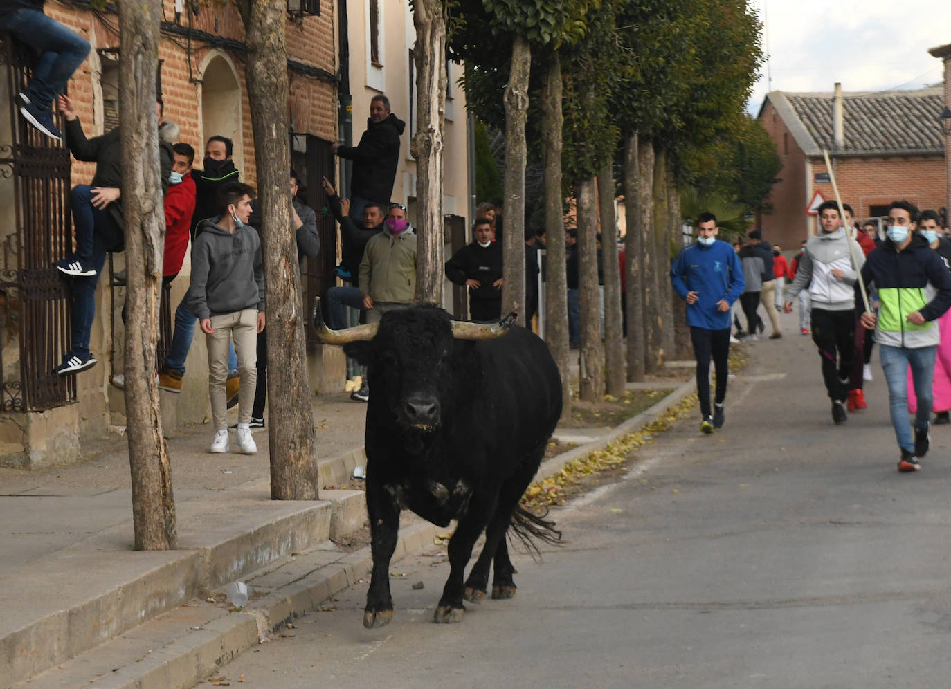 Fotos: Un toro causa el pánico en el encierro en Pollos