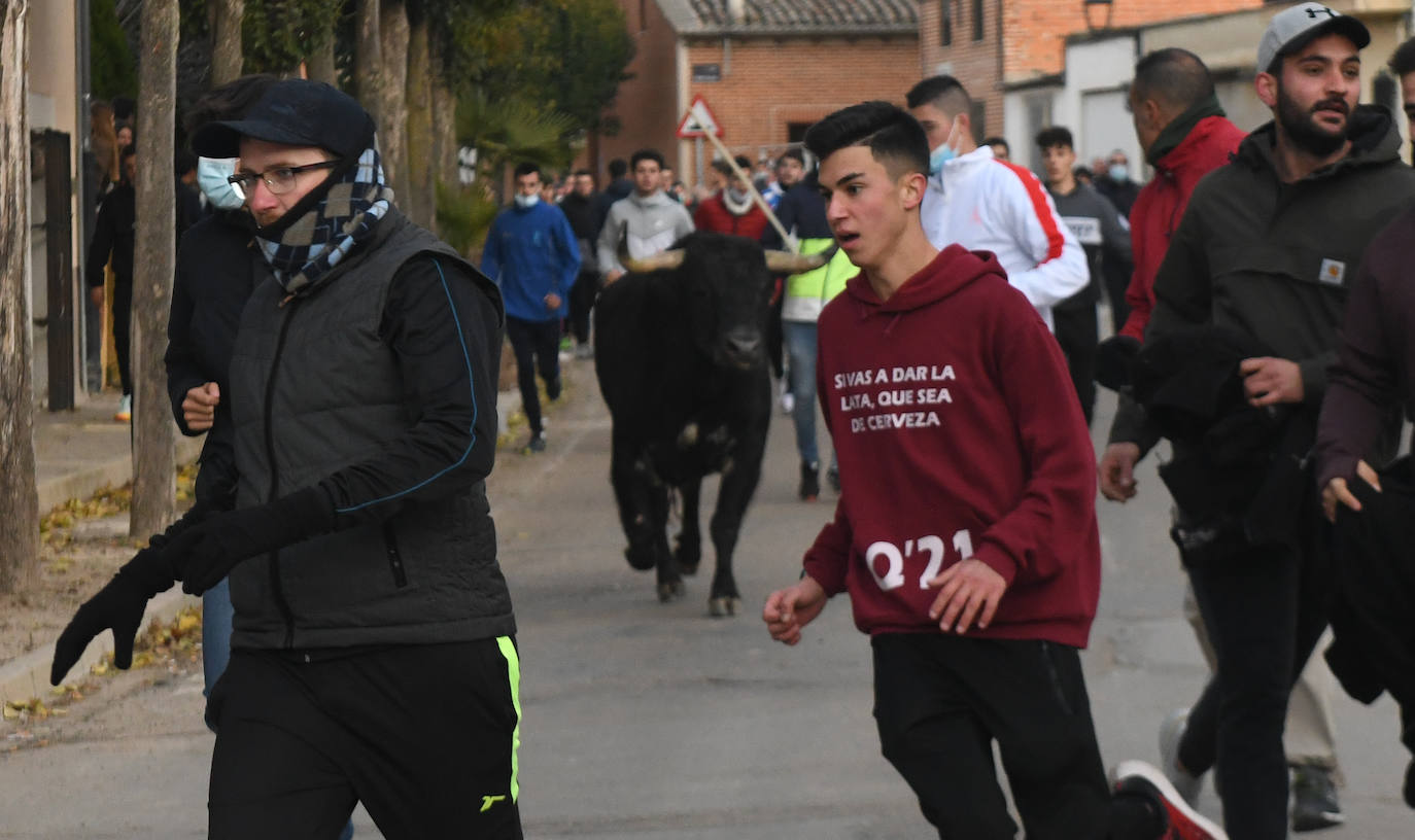Fotos: Un toro causa el pánico en el encierro en Pollos