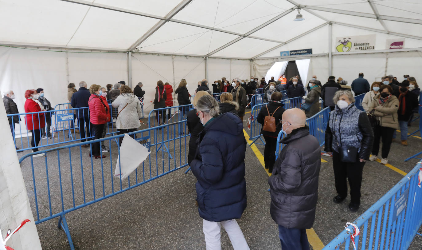 Fotos: La vacunación prosigue en Palencia en el Día de la Constitución