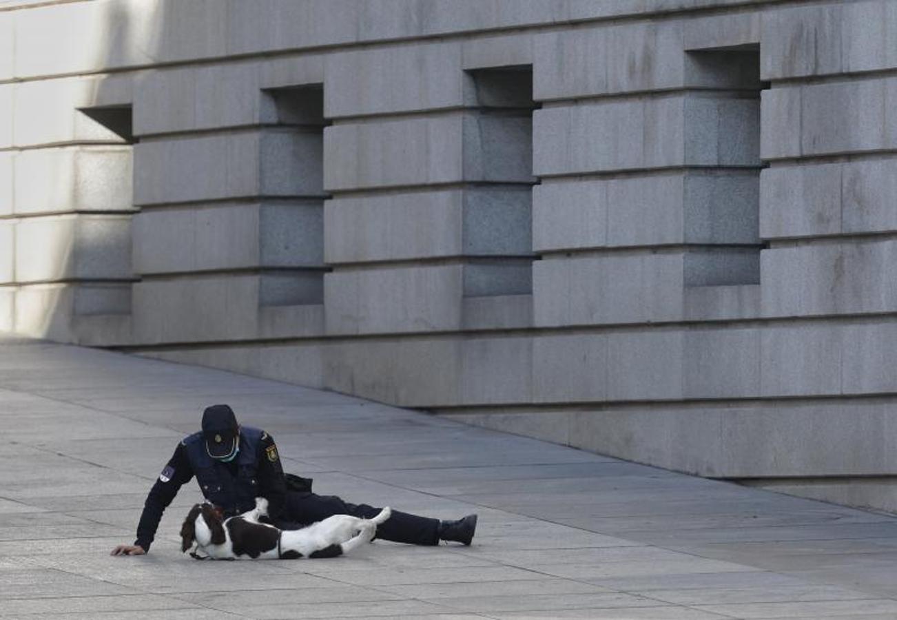 Un policía juega ante el Congreso con uno de los perros desplegados para la seguridad de la conmemoración. 