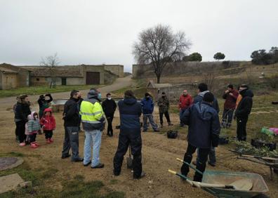 Imagen secundaria 1 - Palazuelo de Vedija reforesta una parcela con más de 160 árboles y arbustos