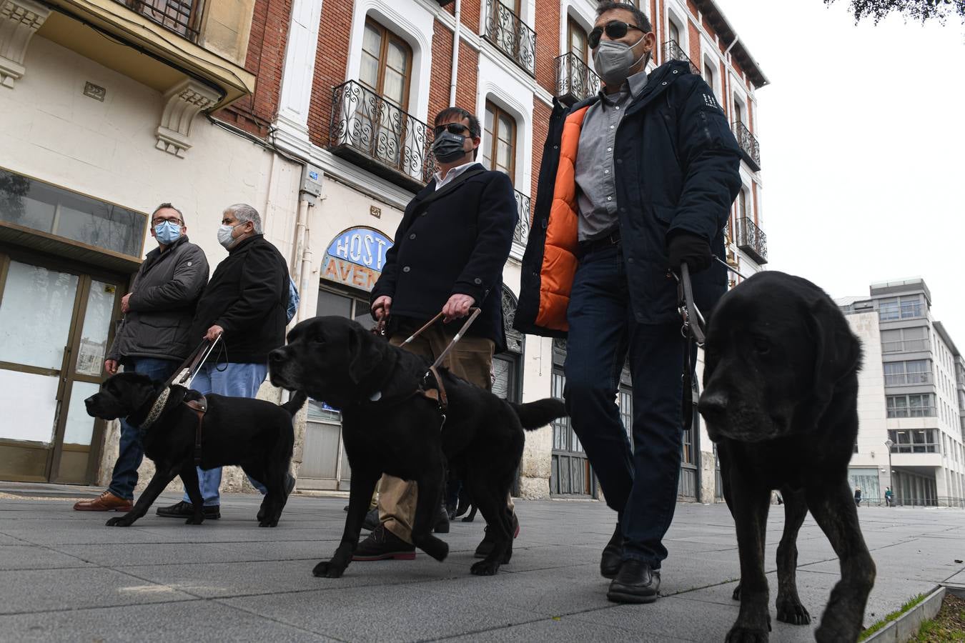 Fotos: Marcha en Valladolid para visibilizar la labor de los perros guía de la ONCE