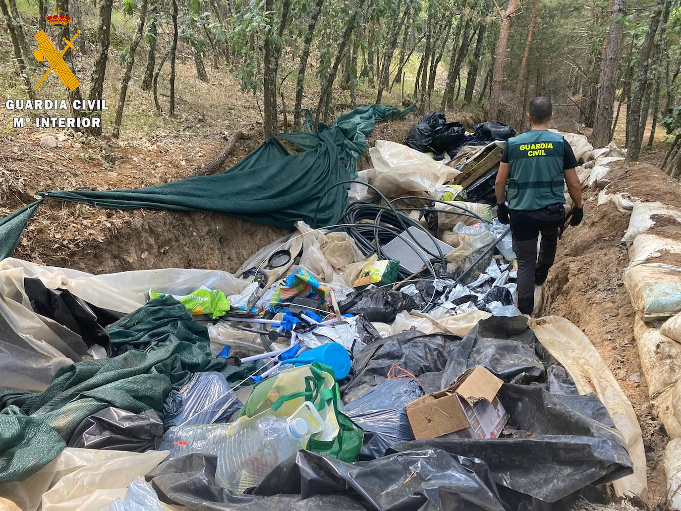 Una de las plantaciones desmanteladas por la Guardia Civil.