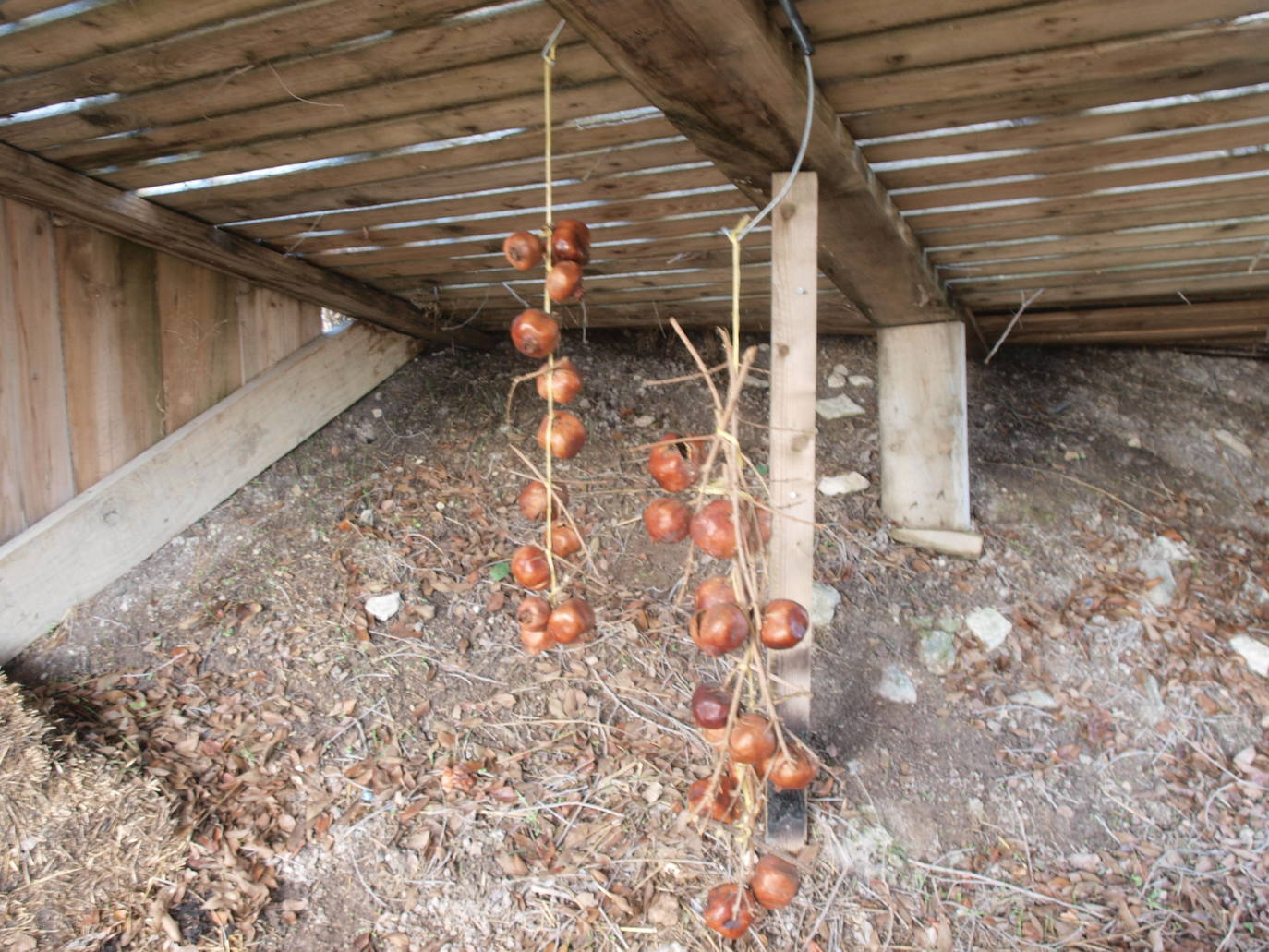 Fotos: El no belén viviente de Robladillo, en Valladolid