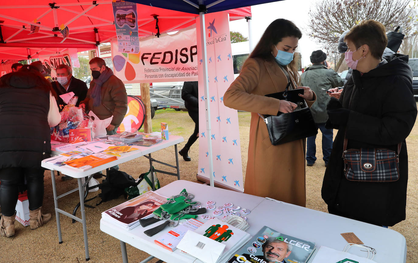 Fotos: Frío y solidario chapuzón por las asociaciones de personas con discapacidad