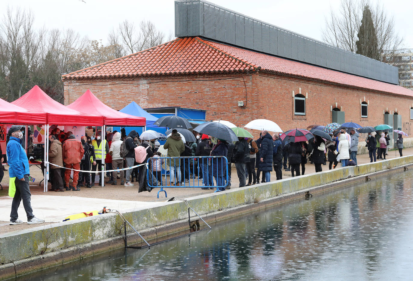 Fotos: Frío y solidario chapuzón por las asociaciones de personas con discapacidad
