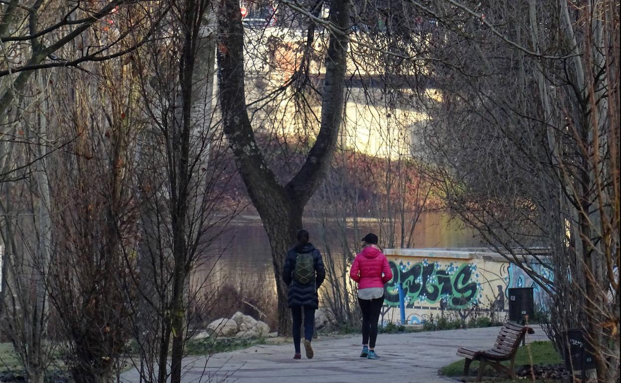 El paseo de Las Moreras. 