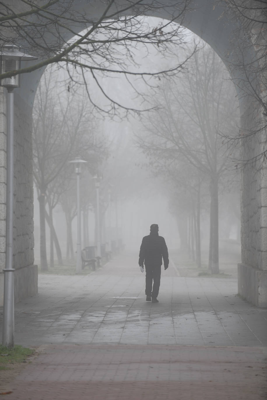 Fotos: La ciudad de Valladolid despede el año con niebla