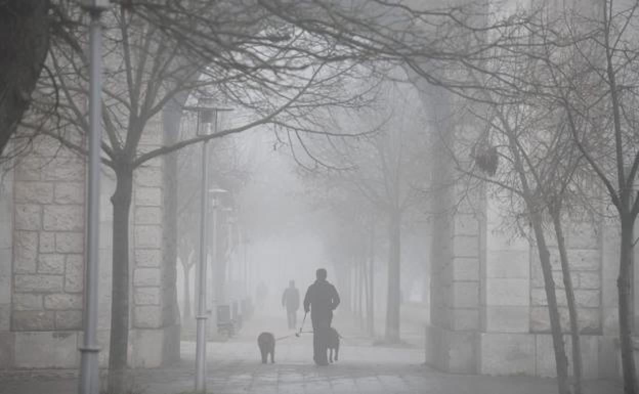 Valladolid ha amanecido este jueves con un manto de niebla.