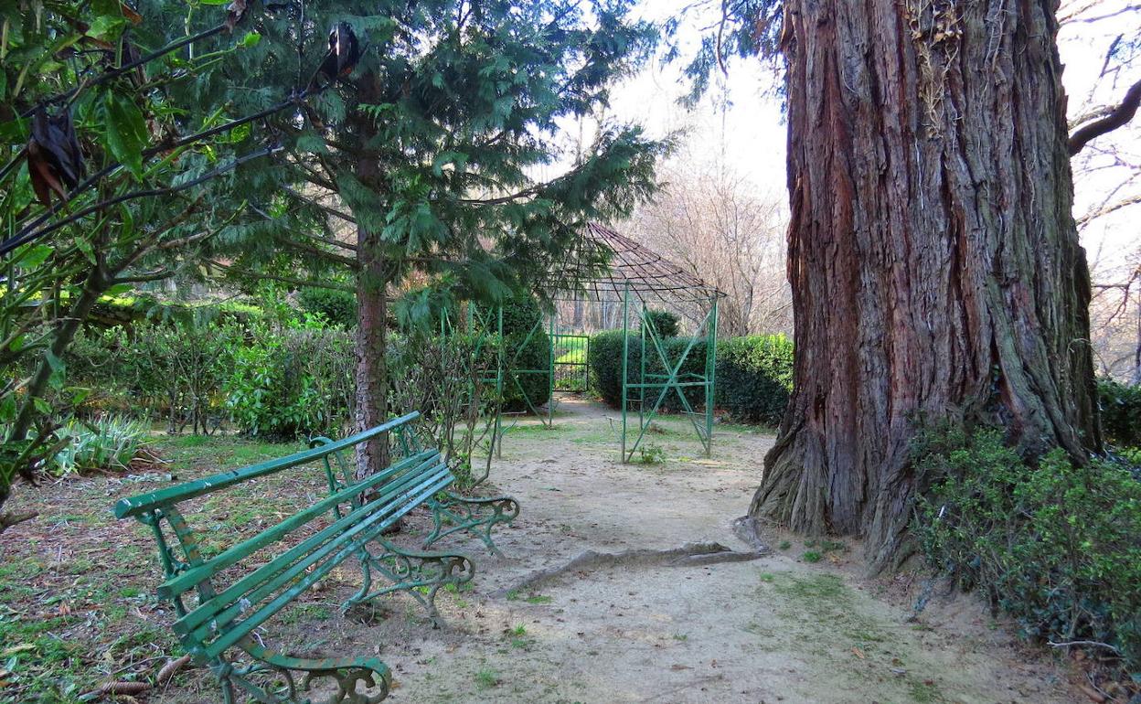 Imagen del mal estado de las instalaciones de El Bosque que denuncia la Plataforma para la Defensa de El Bosque en Bejar. 