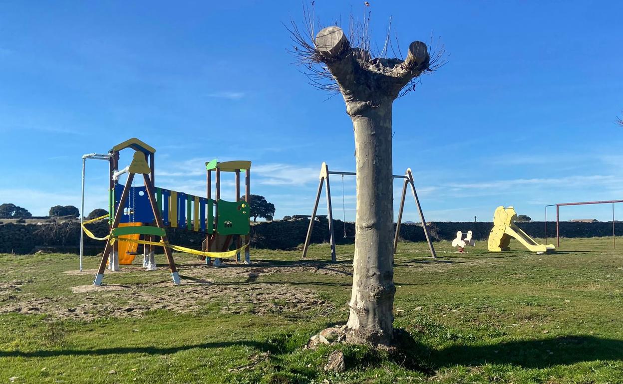 El parque de Palacios de Salvatierra. 