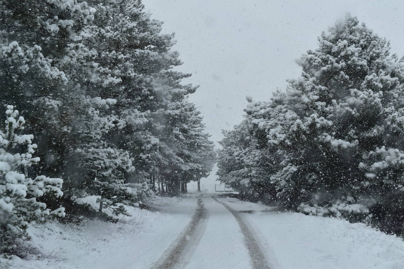 Fotos: Nevada en Aguilar de Campoo