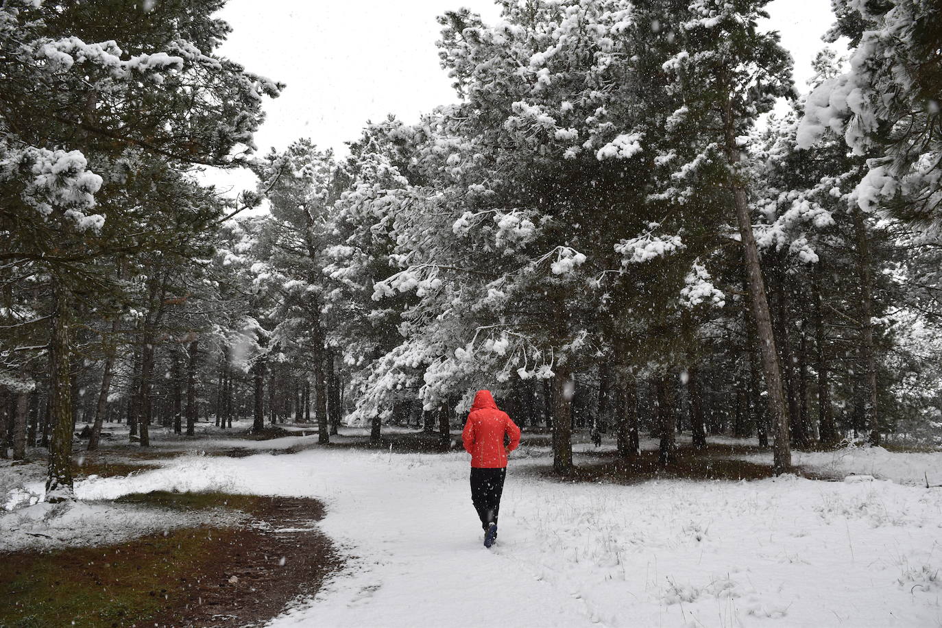 Fotos: Nevada en Aguilar de Campoo