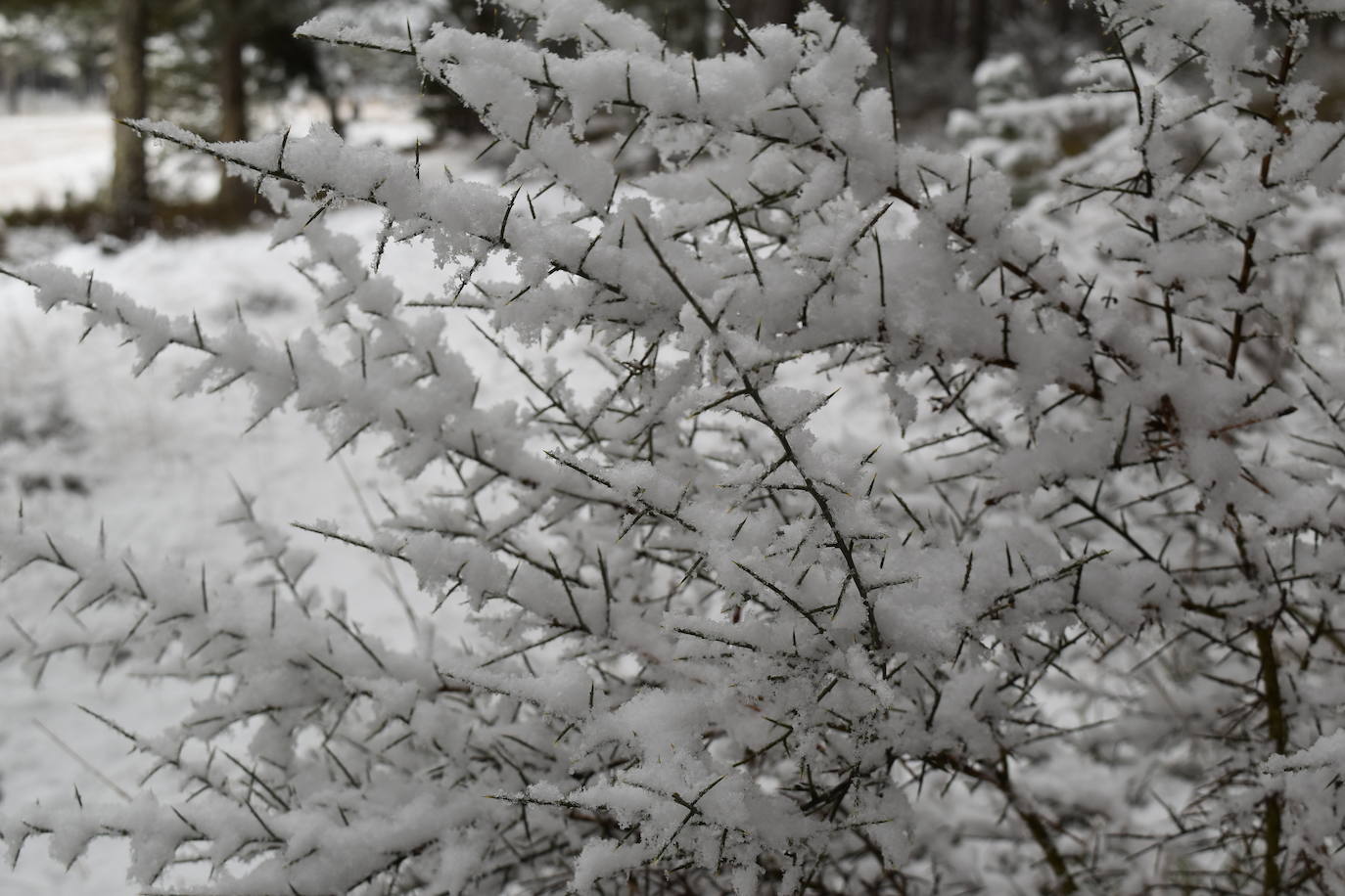 Fotos: Nevada en Aguilar de Campoo