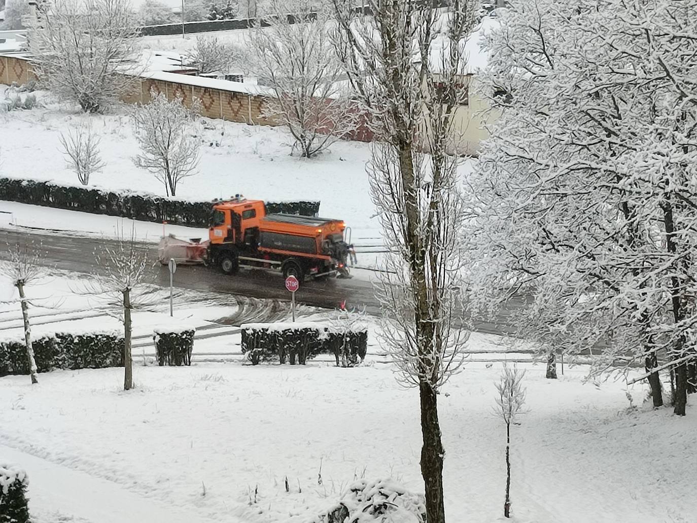 Fotos: Nevada en Guardo