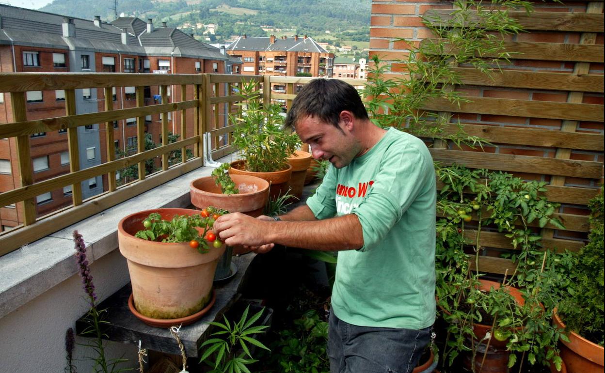 Un vecino de Oviedo, en la terraza de su vivienda donde cultiva distintos frutales y hortalizas.