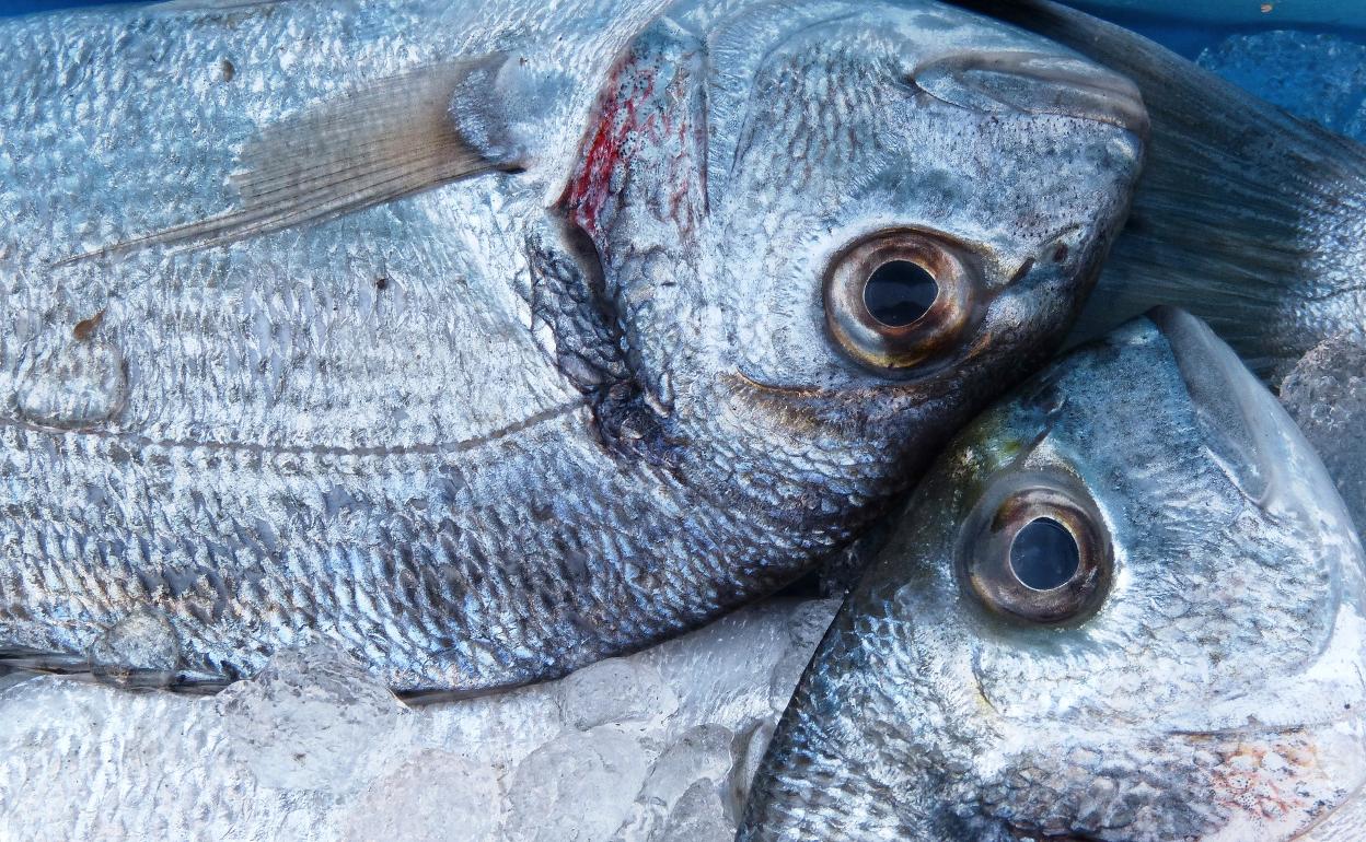 Dorada, exquisita y fácil de cocinar