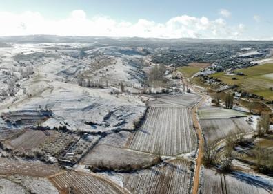 Imagen secundaria 1 - Distintas estampas del viñedo nevado en Moradillo de Roa, Burgos. 