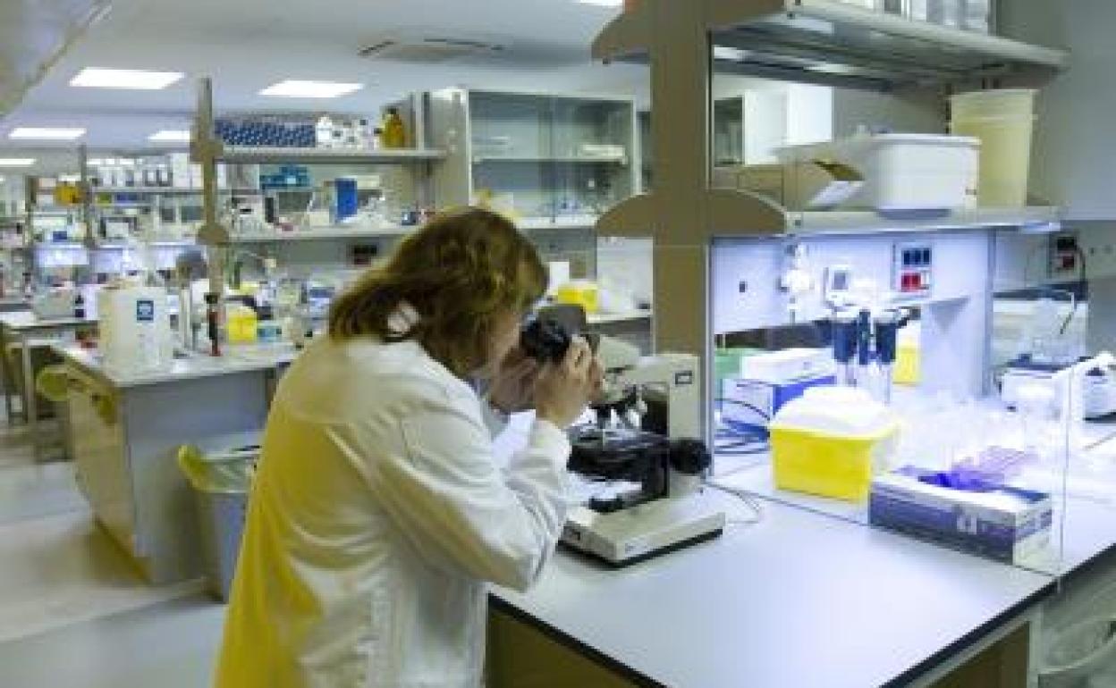 Laboratorio de investigación.