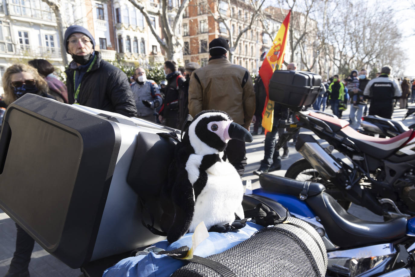 Fotos: Ambiente festivo en el desfile de banderas de Pingüinos