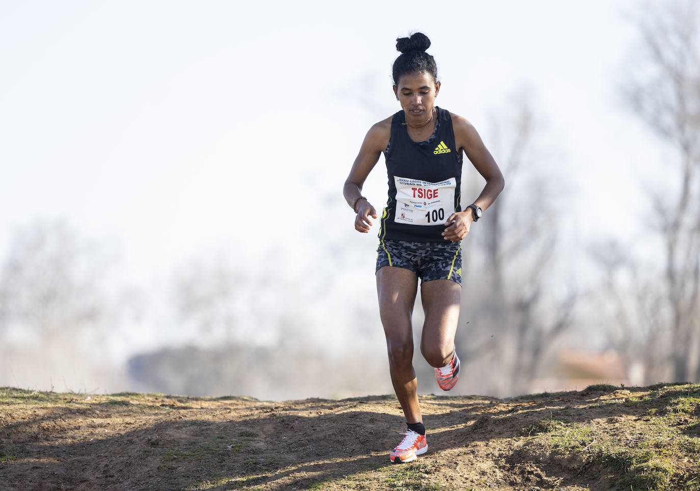 Fotos: Vuelve el Cross Internacional ciudad de Valladolid (1/2)
