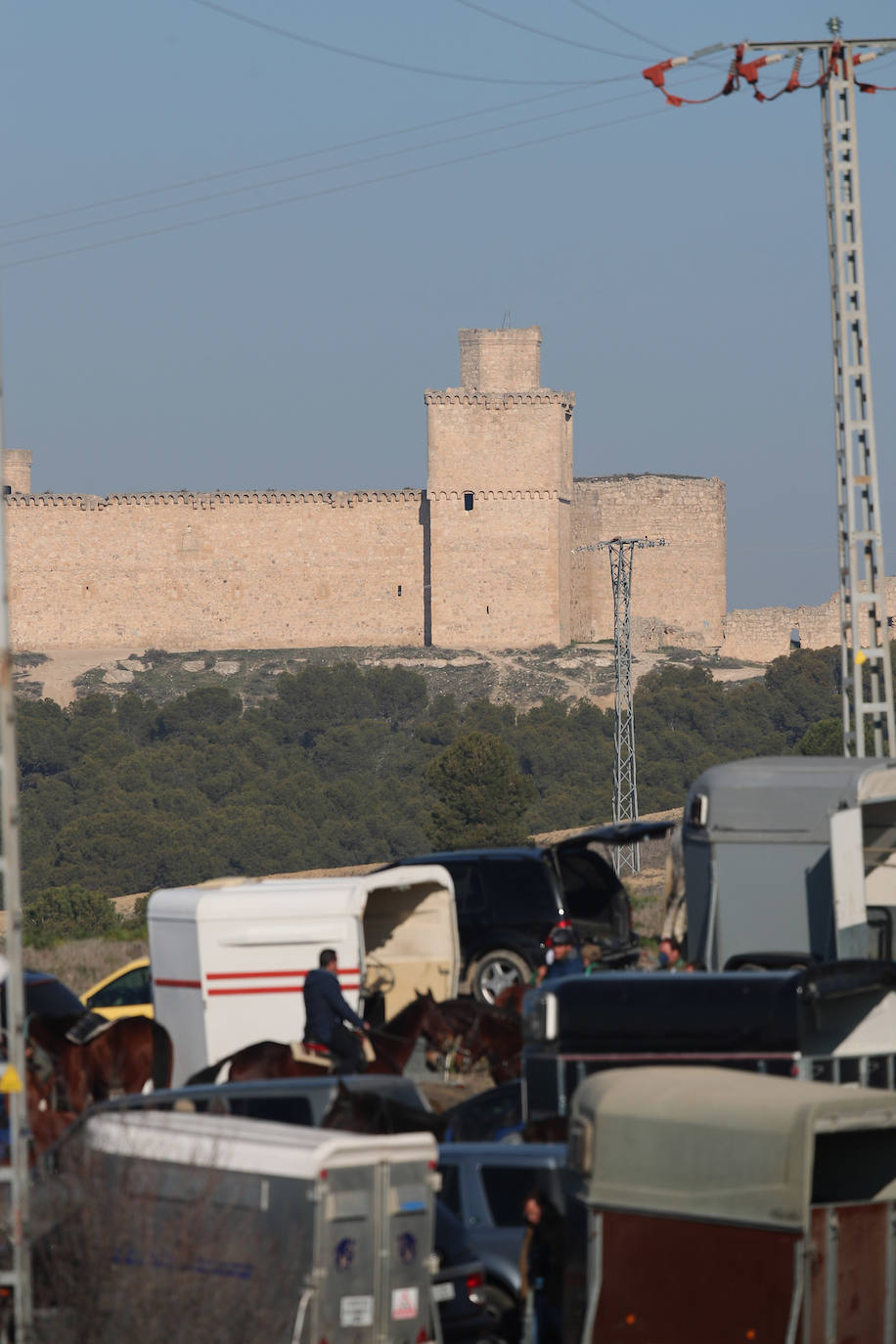 Fotos: Campeonato Nacional de Galgos en Medina del Campo