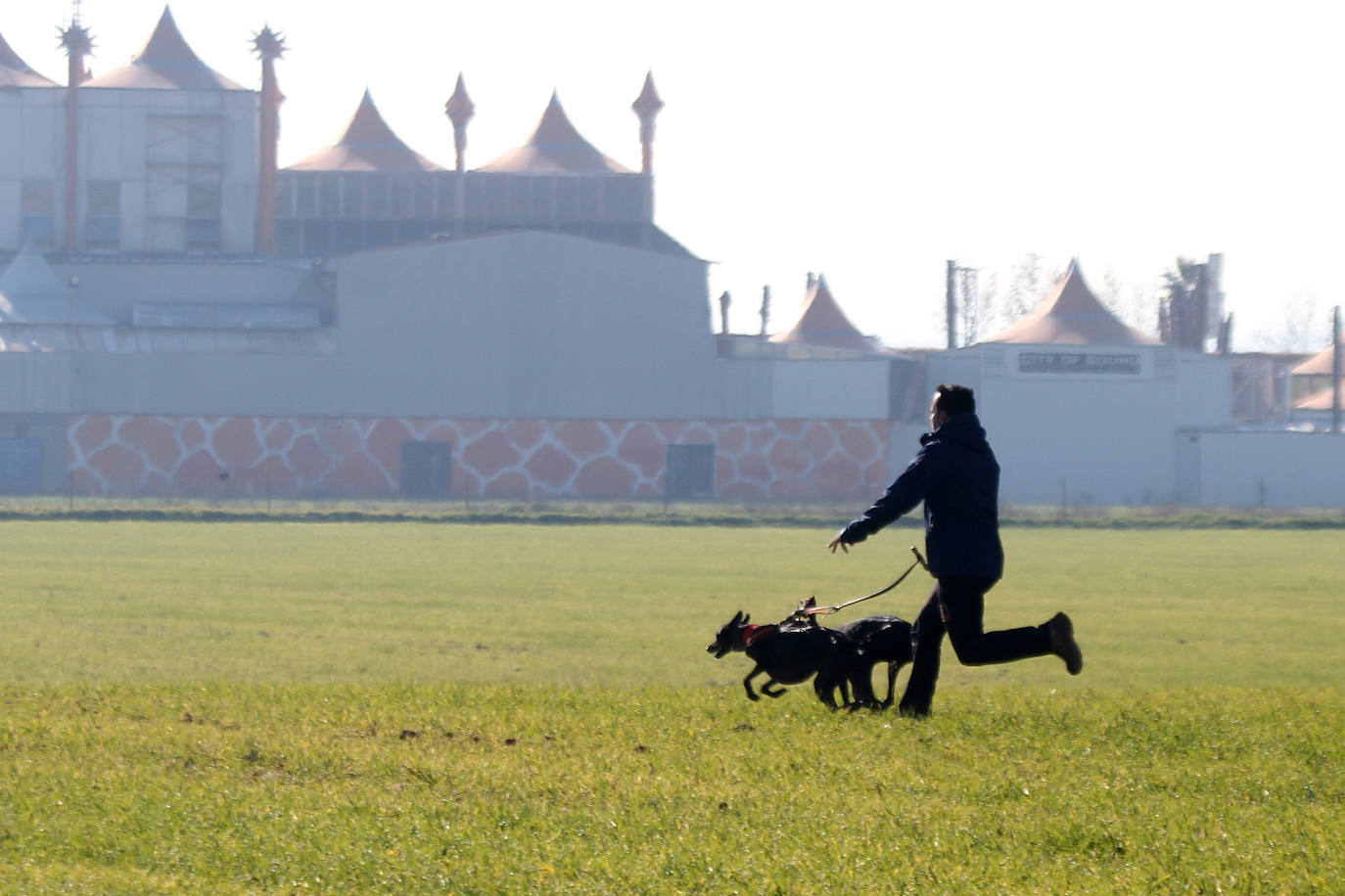 Fotos: Campeonato Nacional de Galgos en Medina del Campo