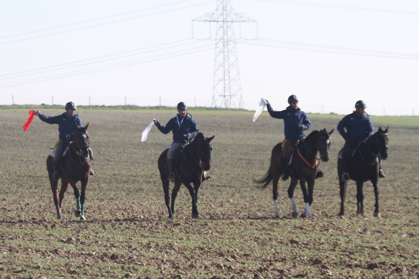 Fotos: Campeonato Nacional de Galgos en Medina del Campo