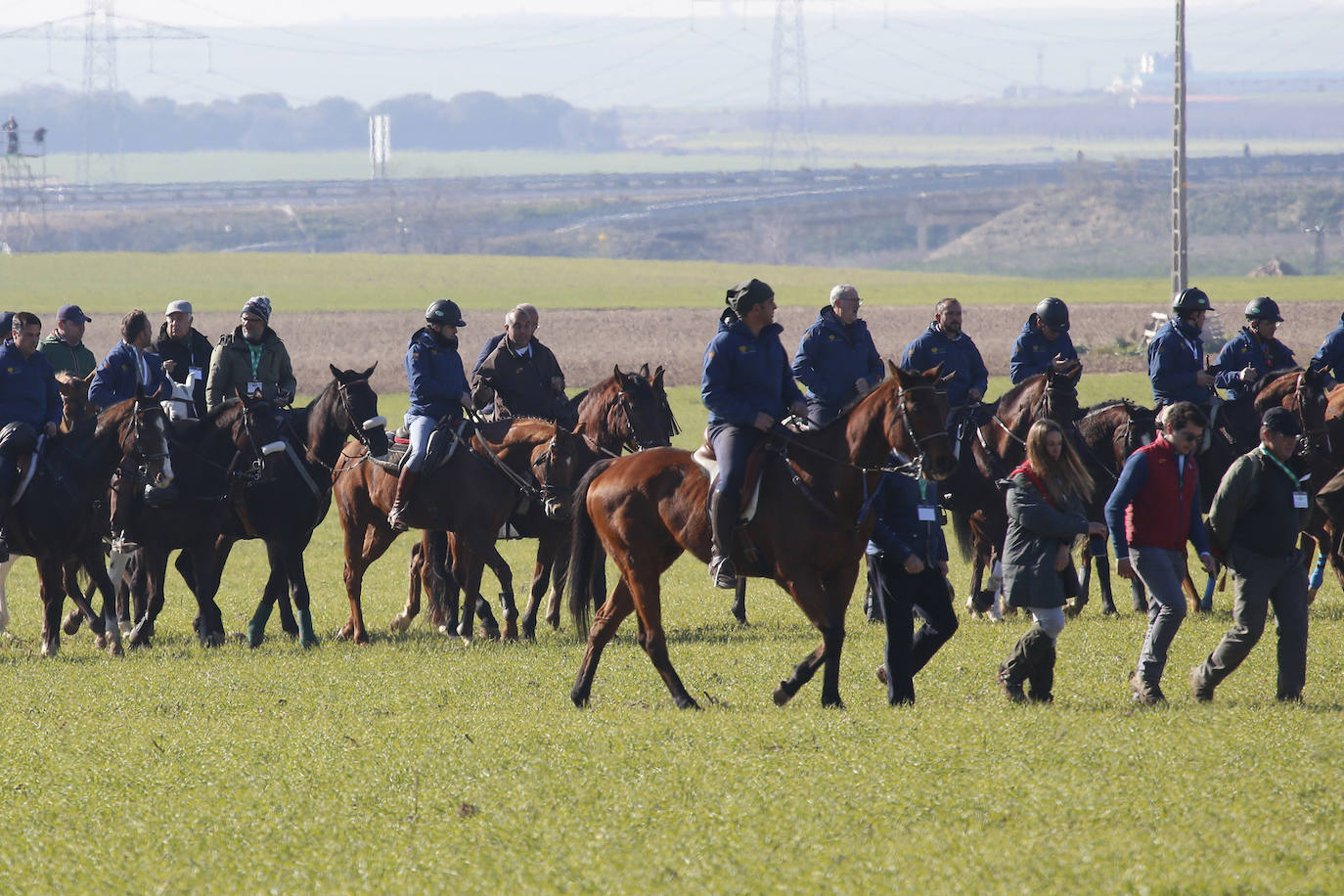 Fotos: Campeonato Nacional de Galgos en Medina del Campo