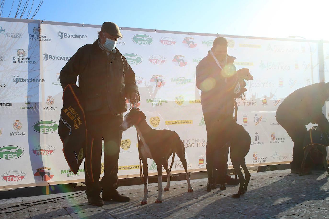 Fotos: Campeonato Nacional de Galgos en Medina del Campo