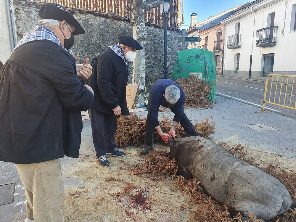 Linares de Riofrío y Las Casas del Conde celebran su tradicional matanza para disfrute de vecinos y visitantes 