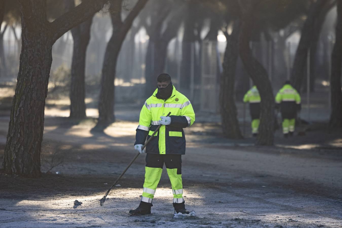 Fotos: Trabajos de limpieza de la antigua Hípica tras el paso de Pingüinos