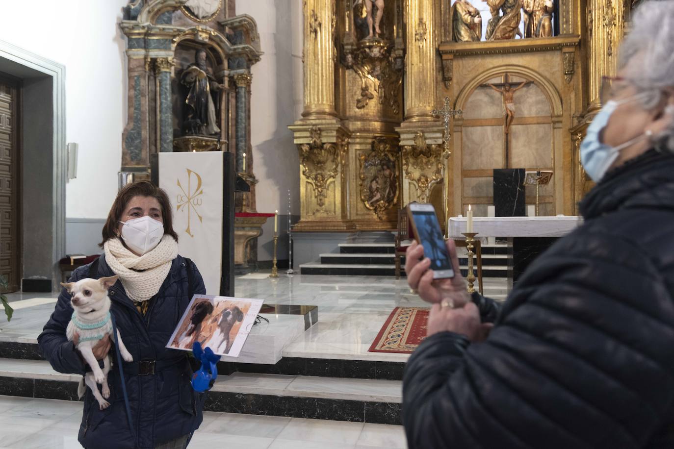 La iglesia vallisoletana de El Salvador, en la celebración de San Antón.