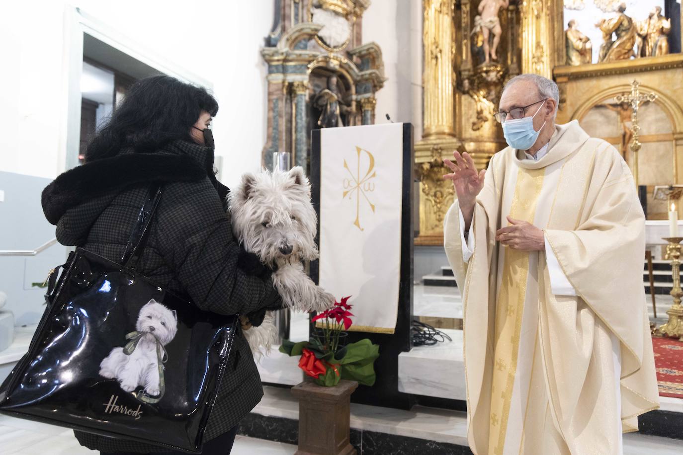 La iglesia vallisoletana de El Salvador, en la celebración de San Antón.