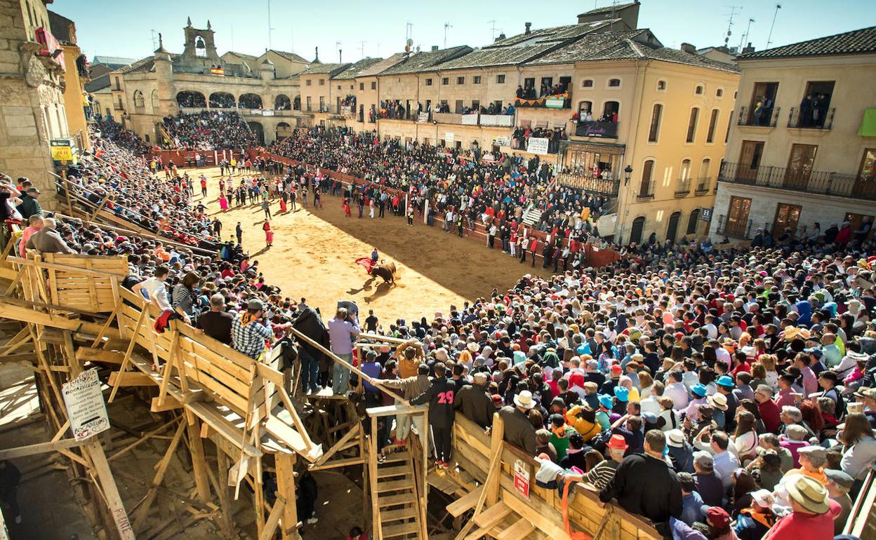 Carnaval de Toro en Ciudad Rodrigo. 