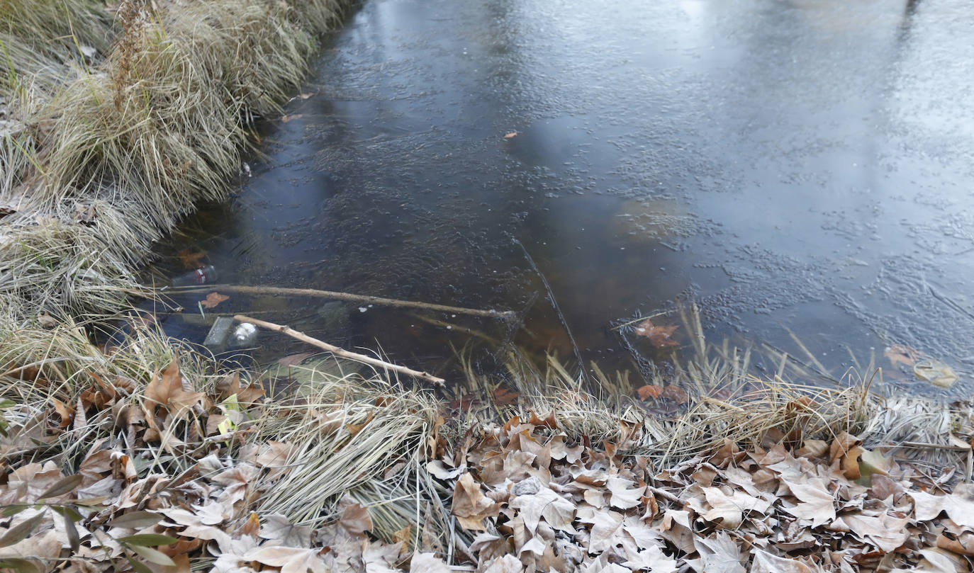 Fotos: Los termómetros caen en Palencia