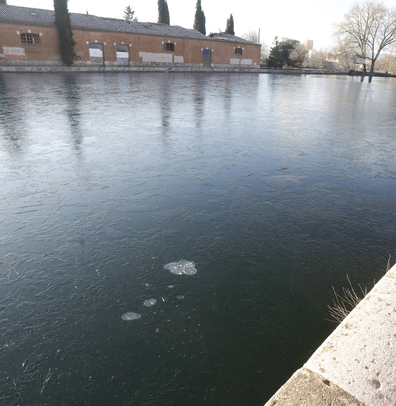 Fotos: Los termómetros caen en Palencia