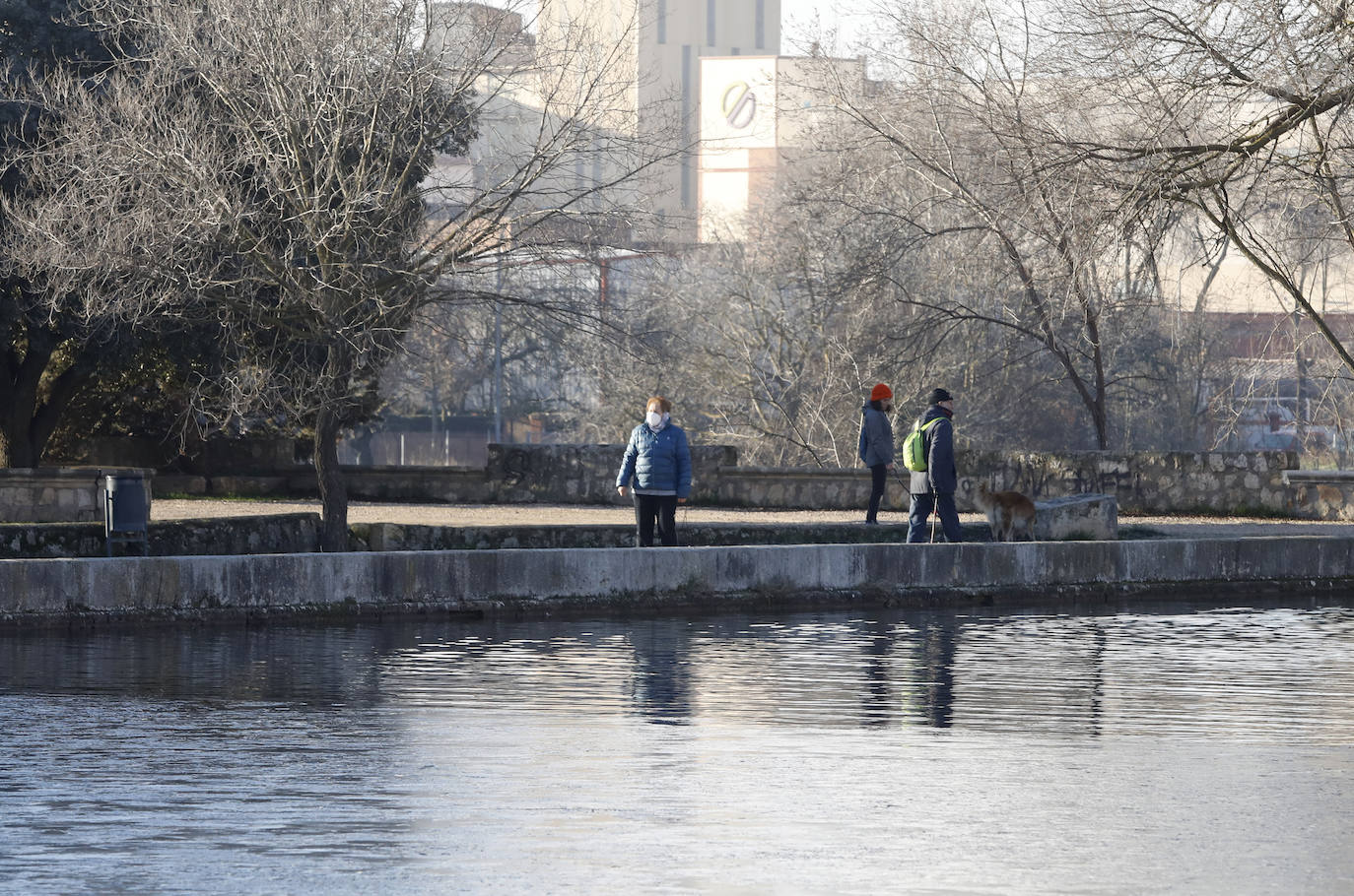 Fotos: Los termómetros caen en Palencia