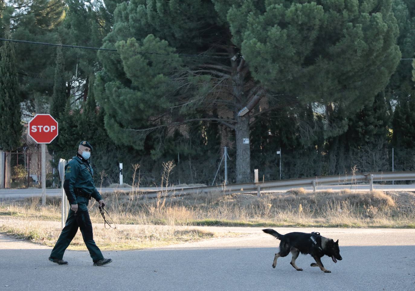 Fotos: Búsqueda con perros de la mujer desaparecida en Traspinedo