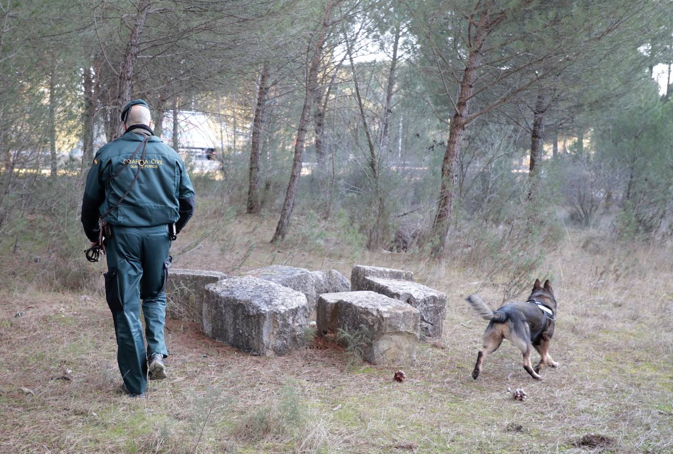 Fotos: Búsqueda con perros de la mujer desaparecida en Traspinedo