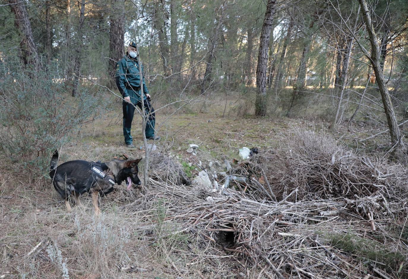 Fotos: Búsqueda con perros de la mujer desaparecida en Traspinedo