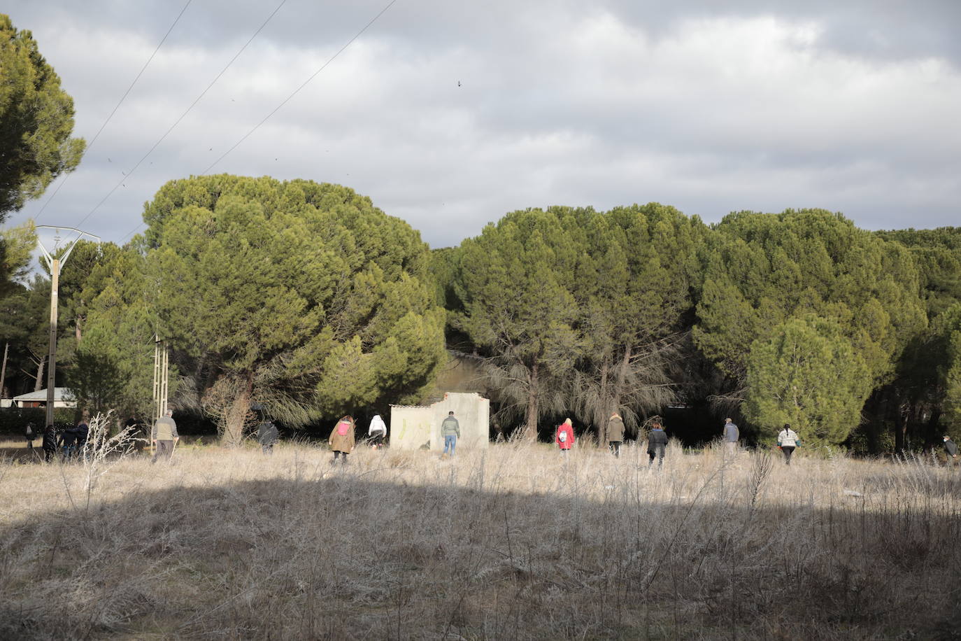 Los vecinos de Traspinedo buscan a Esther López. 