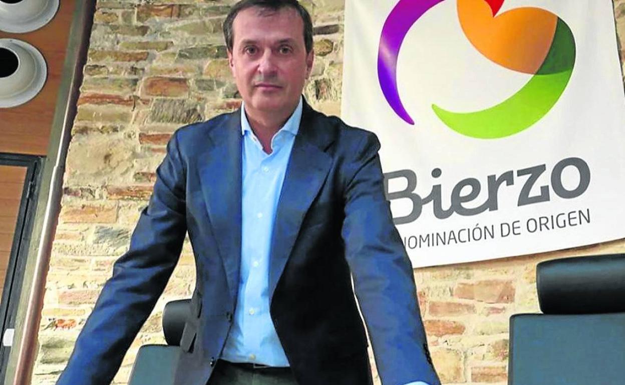 Adelino Pérez, nuevo presidente de la DO Bierzo. 