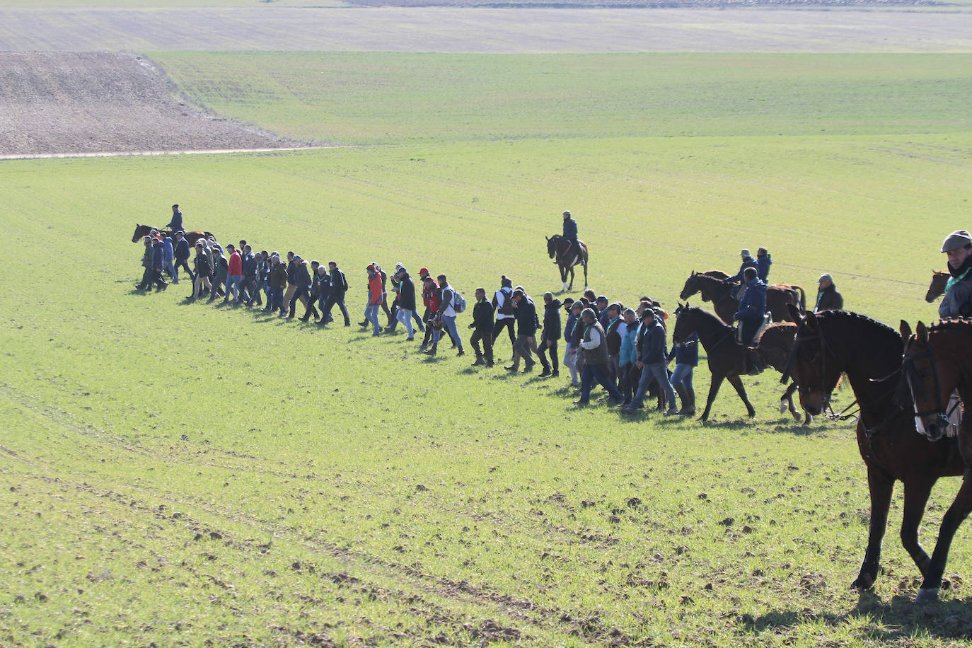 Primera jornada de cuartos de final del Campeonato Nacional de Galgos. 