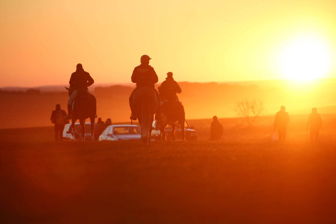 Primera jornada de cuartos de final del Campeonato Nacional de Galgos. 