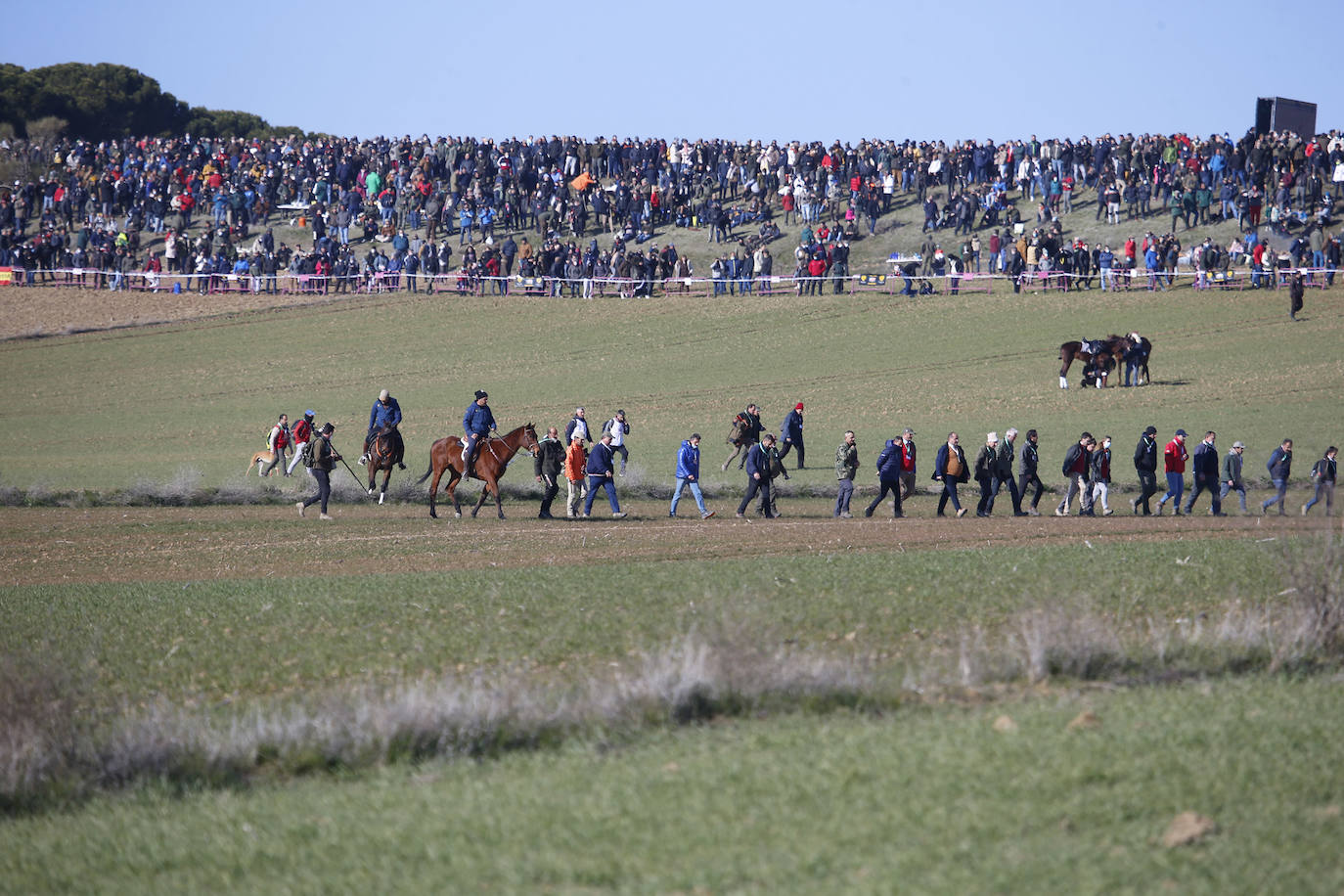 Primera jornada de cuartos de final del Campeonato Nacional de Galgos. 