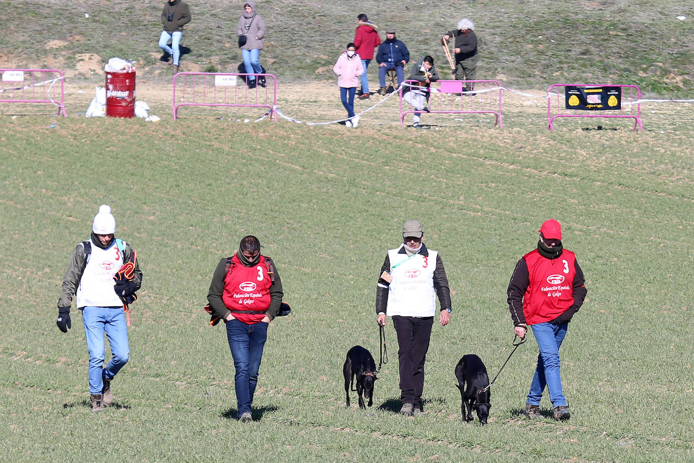 Segunda jornada de cuartos de final del Nacional de Galgos. 