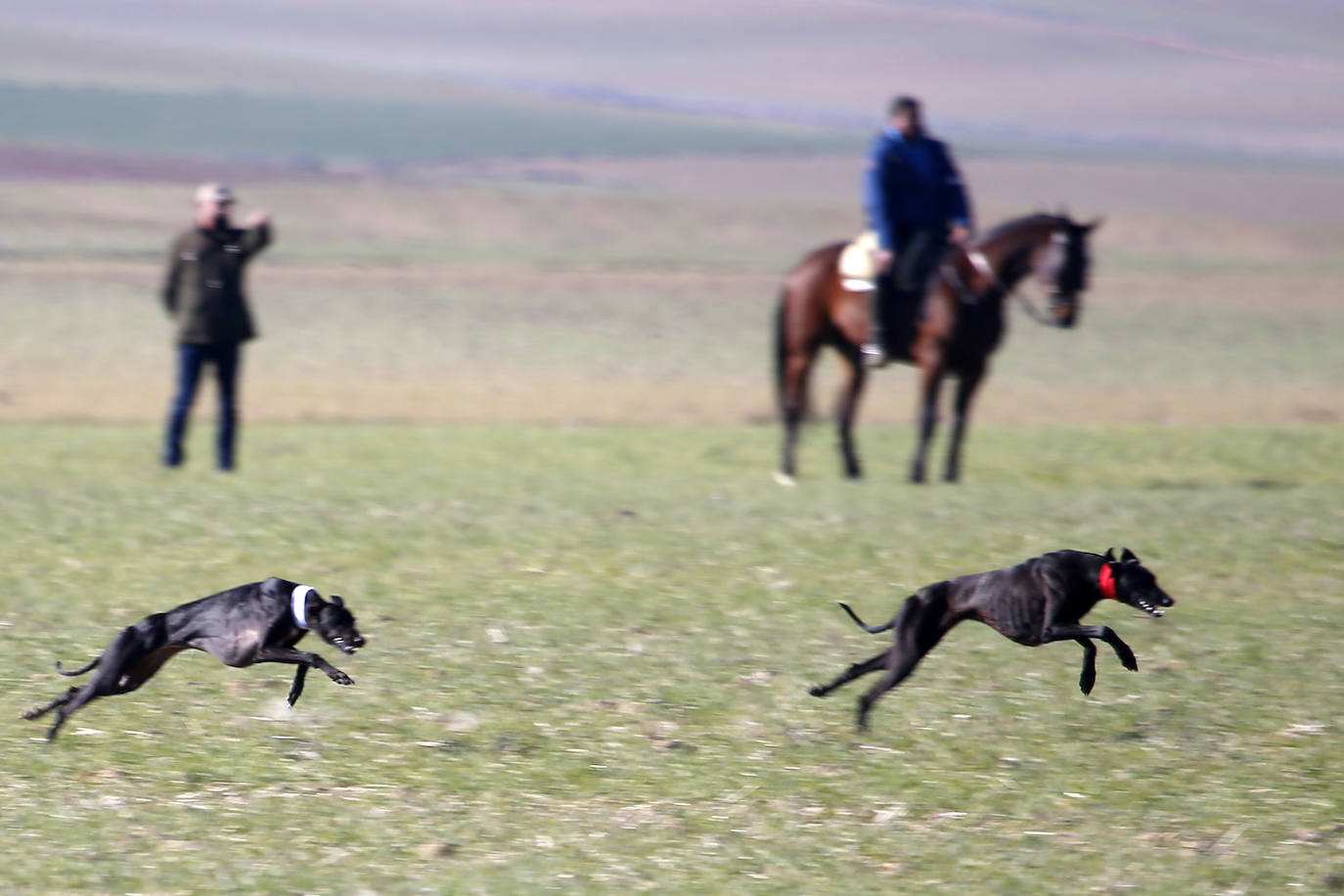 Imagen de los cuartos de final celebrados este domingo en Nava del Rey.