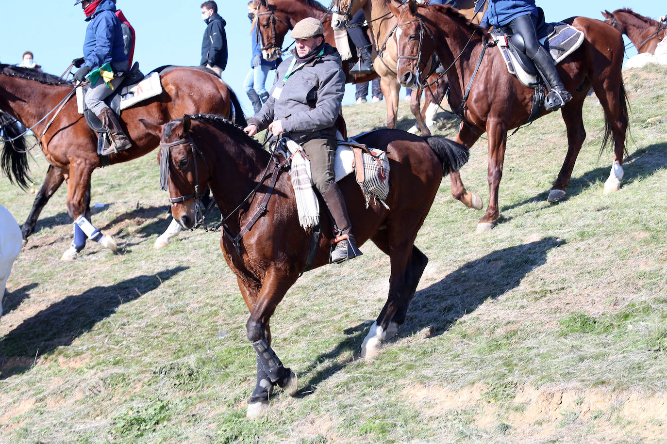 Segunda jornada de cuartos de final del Nacional de Galgos. 