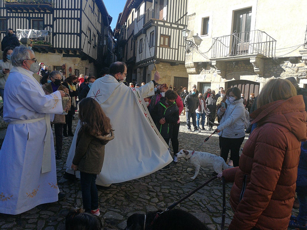 La Alberca recuerda la solidaridad del pueblo en la rifa del marrano de San Antón